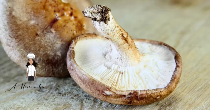 Ultimas Receitas: Como Incluir Shitake na Culinária: Benefícios e Receitas Inovadoras